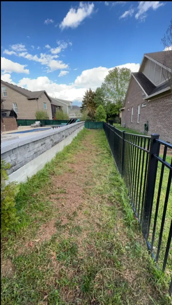Property line after dead arborvitae removal and landscape cleanup
