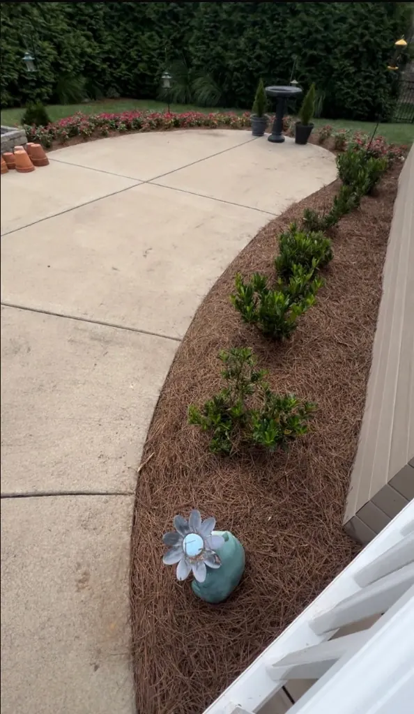 Backyard landscape beds after weed removal and pine straw installation in Arrington, TN