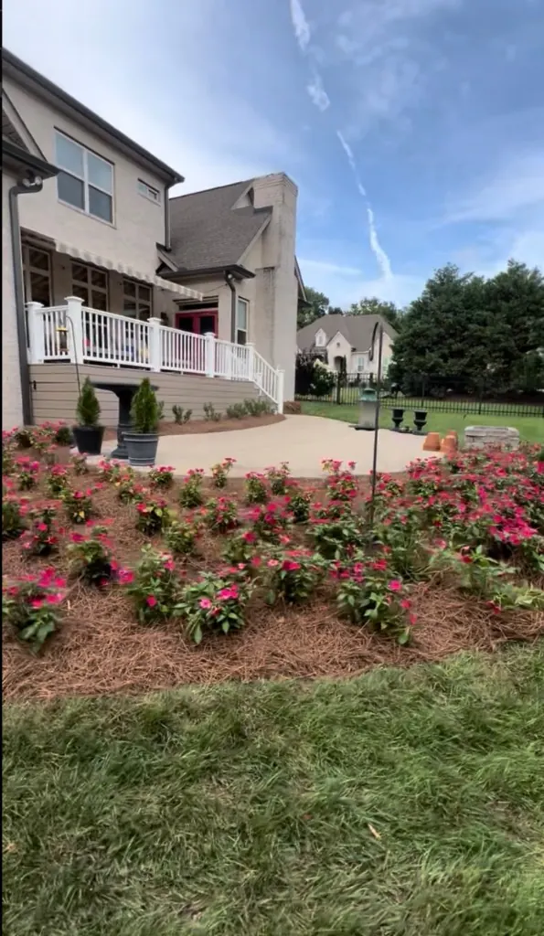 Finished backyard landscaping with fresh pine straw in Arrington, TN