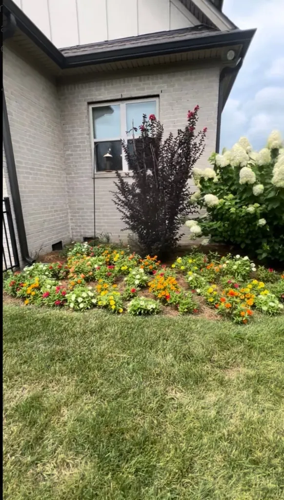 Flower bed before weed removal in Arrington, TN