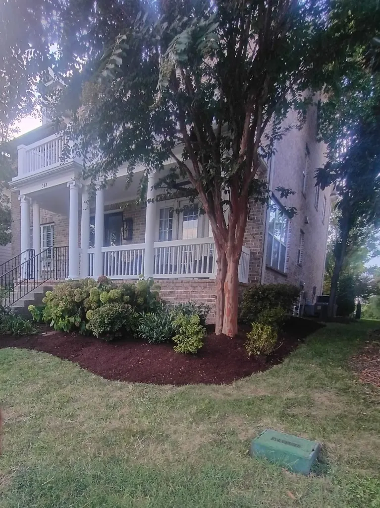 Finished Brentwood front yard landscape beds after brown mulch refresh