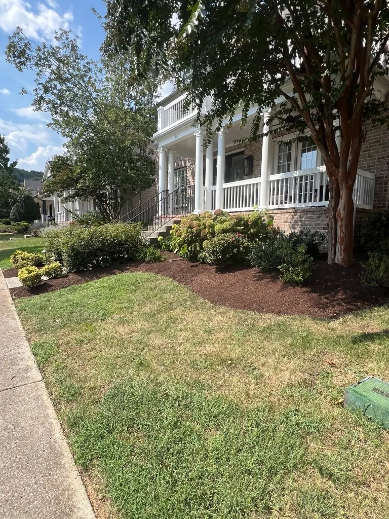 Finished front landscape beds with fresh brown mulch and clean edges in Brentwood, Tennessee