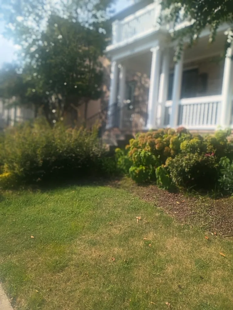 Front bed with worn mulch and soft edges before refresh at a Brentwood home