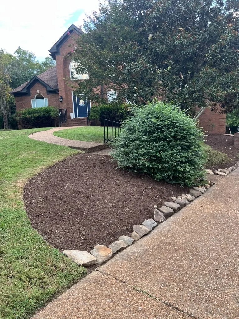Cleaned and reshaped driveway bed with fresh brown mulch in Brentwood, Tennessee