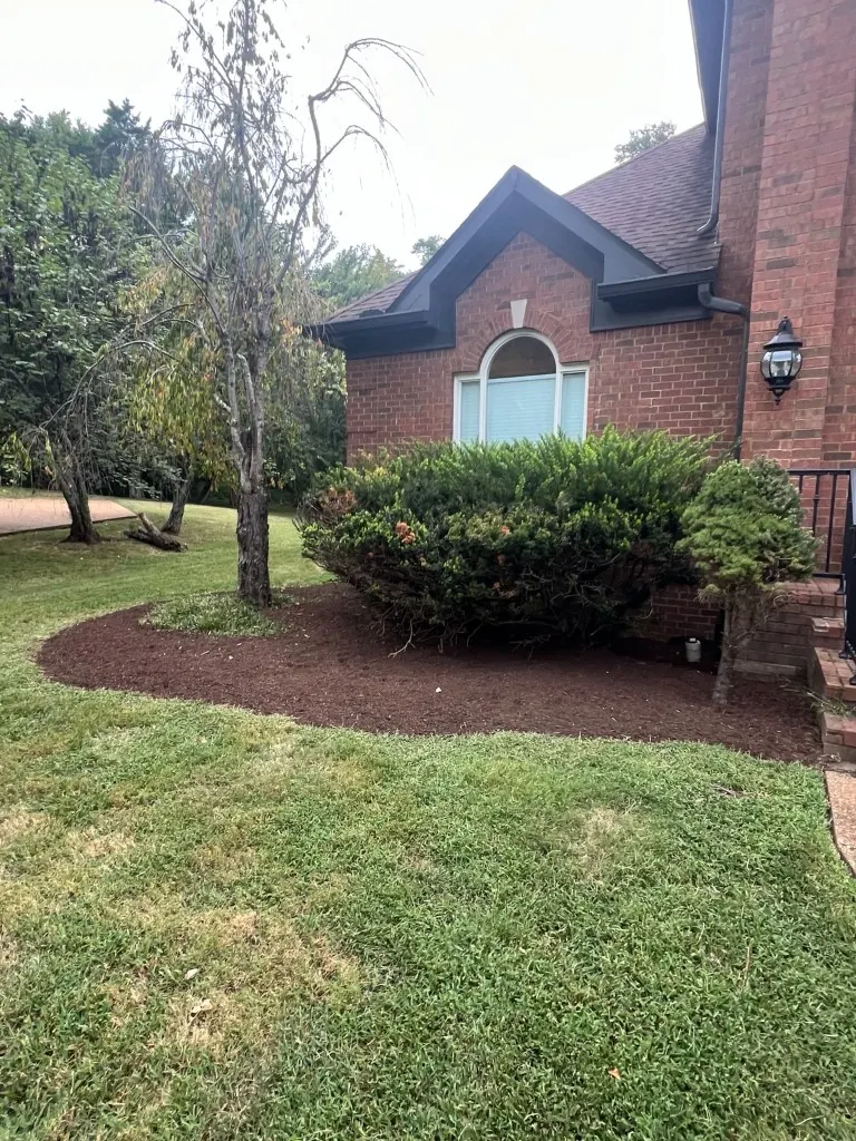 Clean foundation bed with reshaped edge and brown mulch in Brentwood