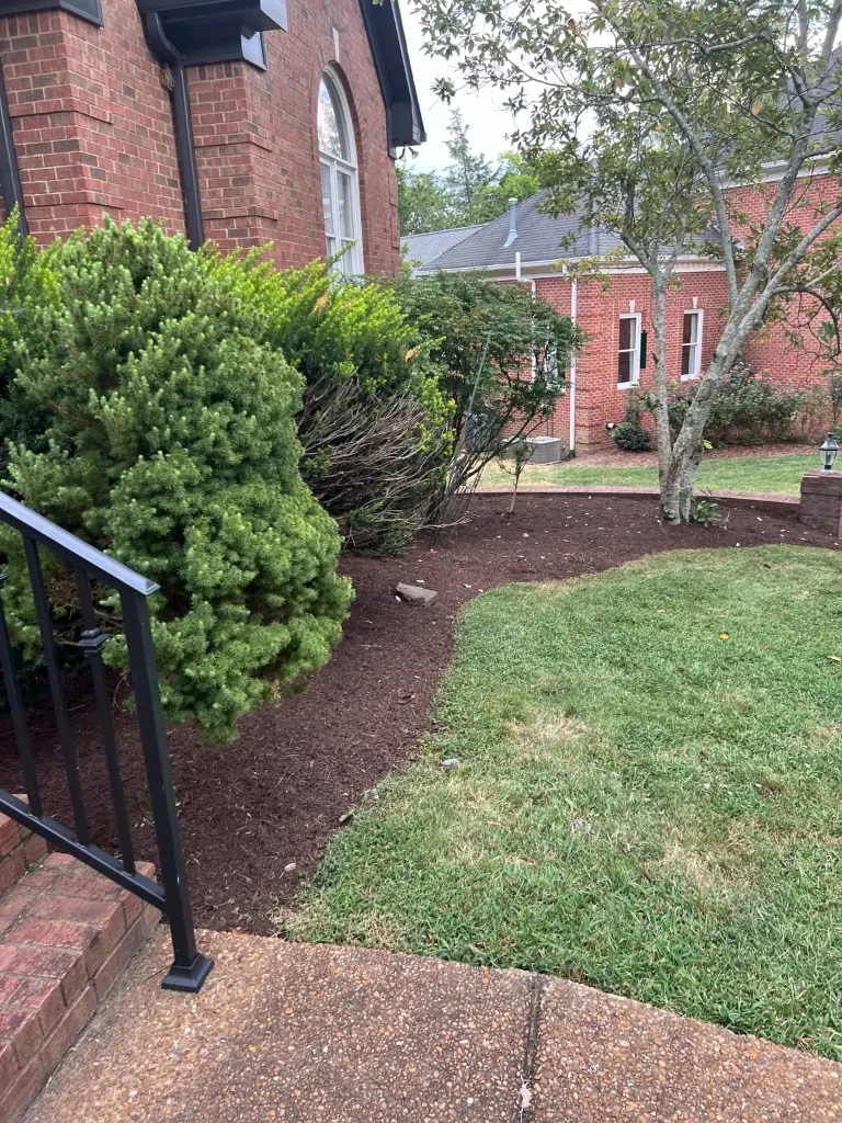 Landscape bed after cleanup and fresh brown mulch installation in Brentwood