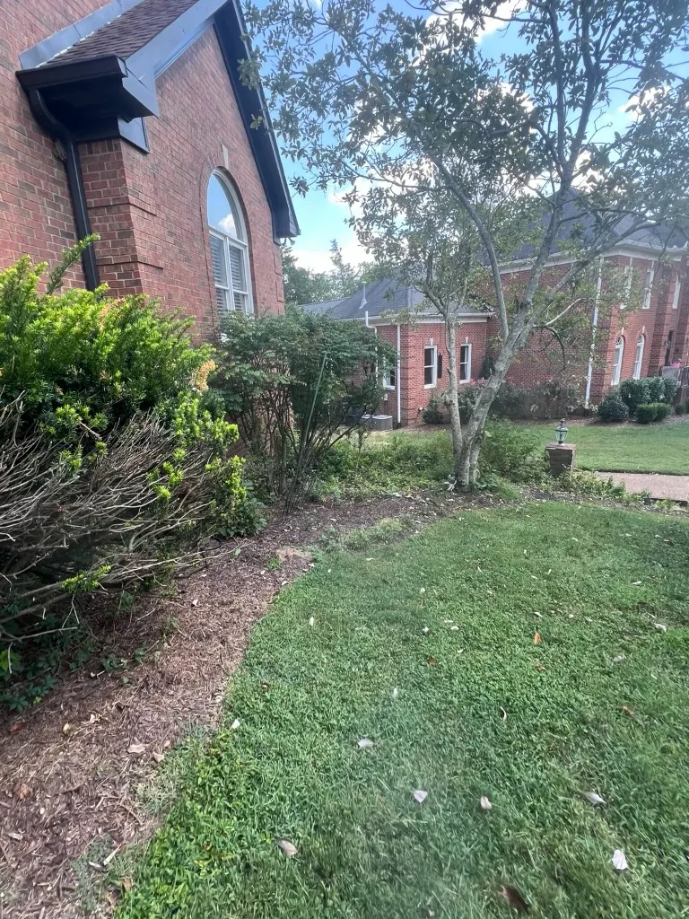Landscape bed before cleanup and mulch installation at a Brentwood home