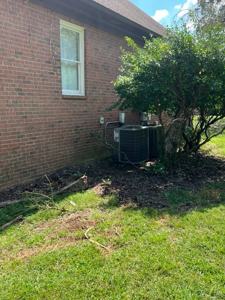 Side-yard foundation bed before cleanup and reshaping in Brentwood