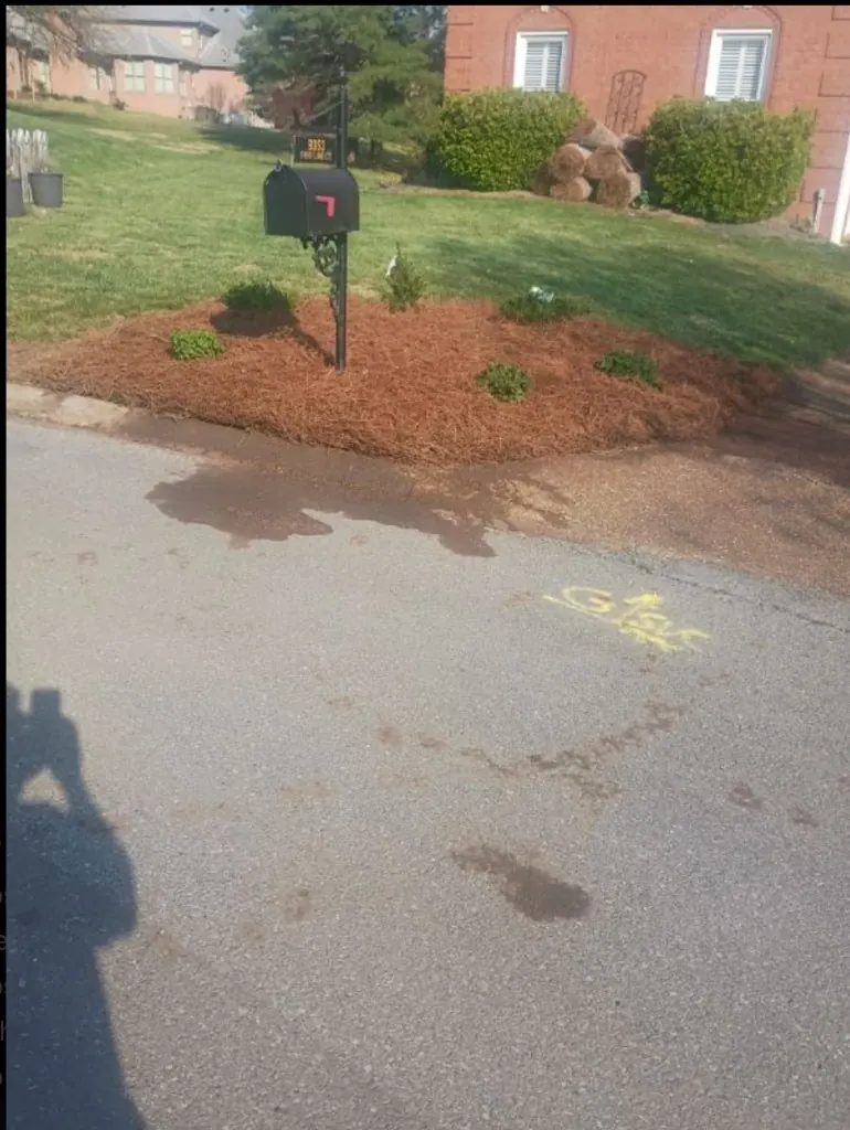 Completed mailbox landscape bed with new plants and fresh pine straw in Brentwood, Tennessee