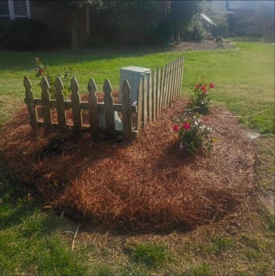 Finished landscape bed with new plants and pine straw around a utility box and wooden fence in Brentwood, Tennessee