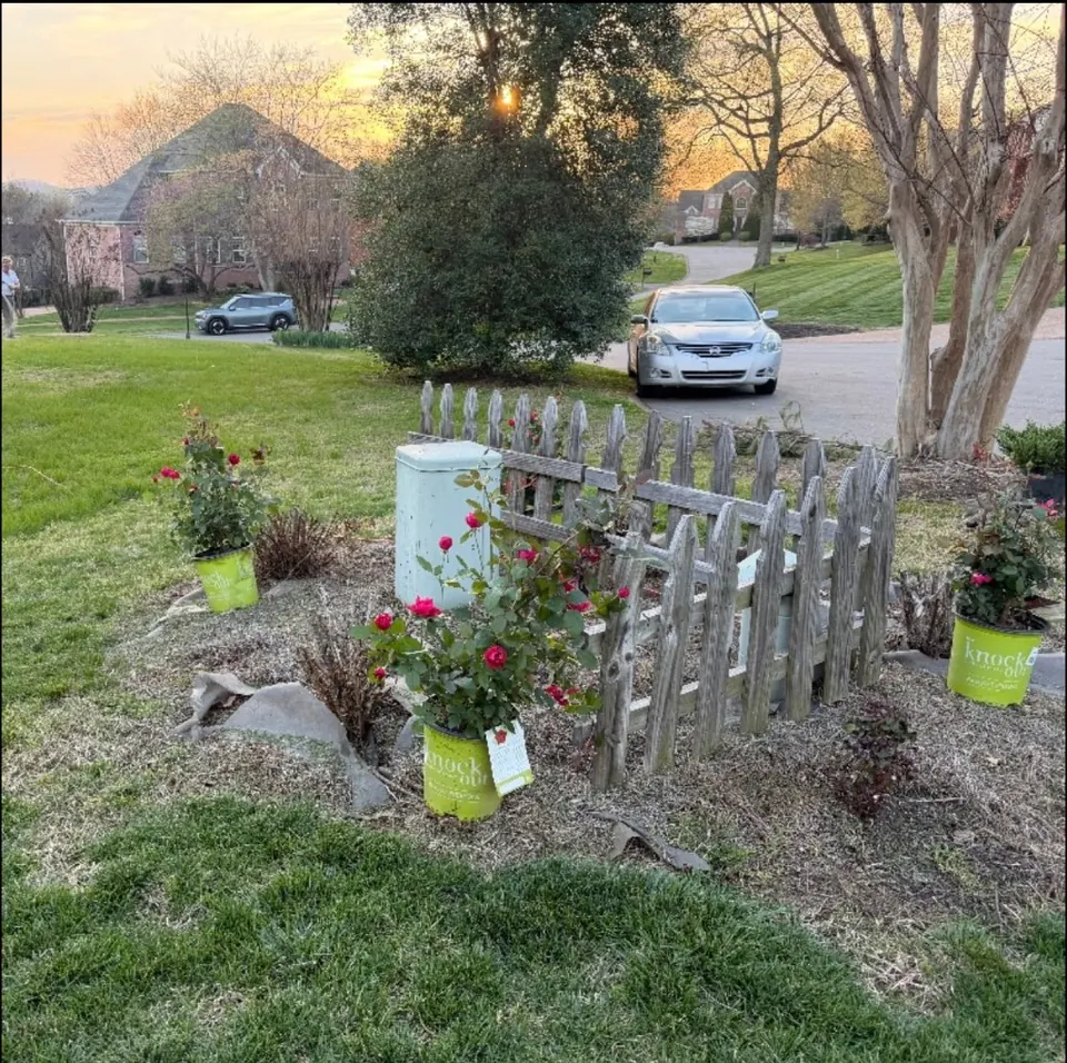 Landscape bed around a utility box and wooden fence before plant and pine straw installation in Brentwood, Tennessee
