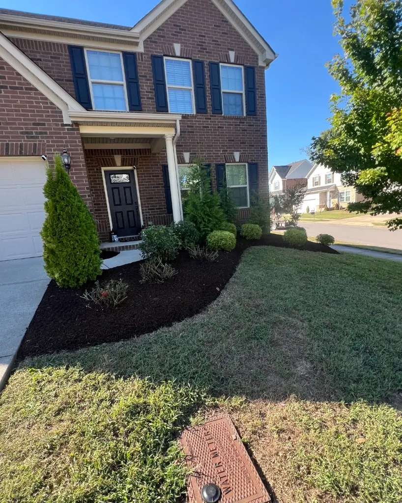 Front foundation beds after shrub trimming, bed reshaping, and dark brown mulch installation in Brentwood, Tennessee