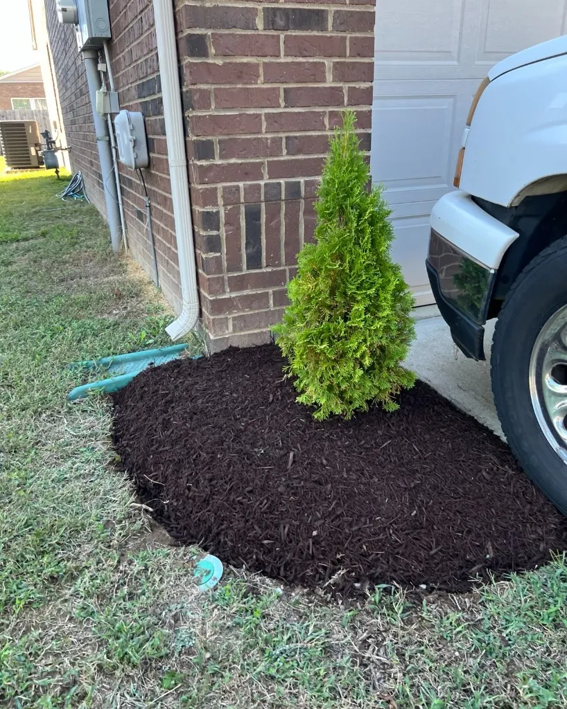 Small garage-side landscape bed with a defined edge and dark brown mulch in Brentwood, Tennessee