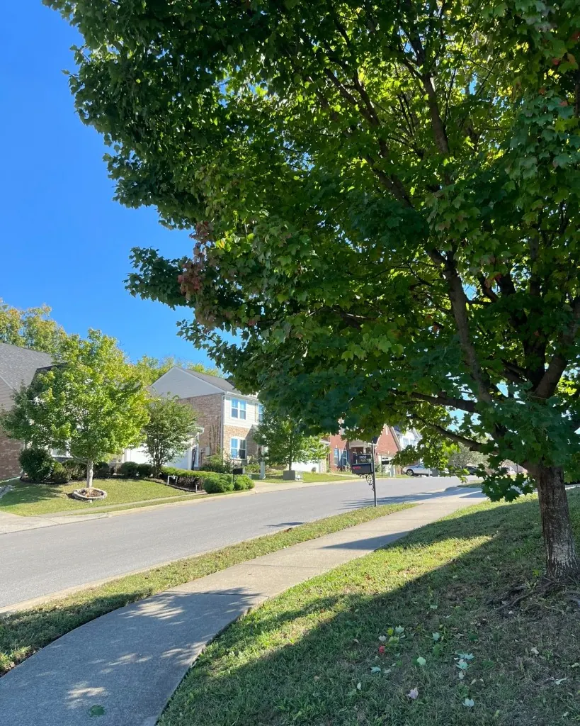 Sidewalk with improved clearance after overhanging tree branches were trimmed in Brentwood, Tennessee