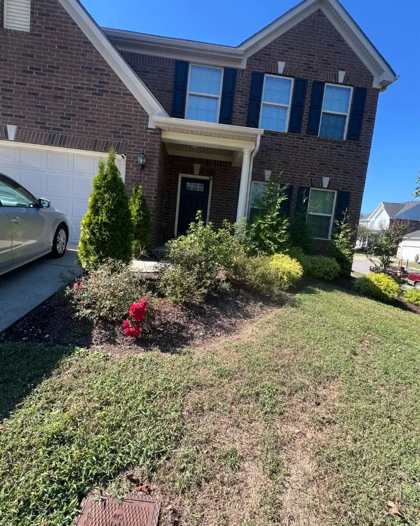 Front foundation beds with thin mulch and unshaped shrubs before cleanup at a Brentwood home
