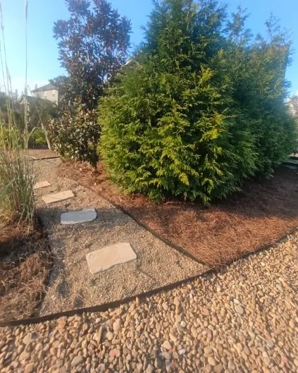 Pea gravel walkway with straightened stepping stones through a pine straw bed in College Grove, Tennessee