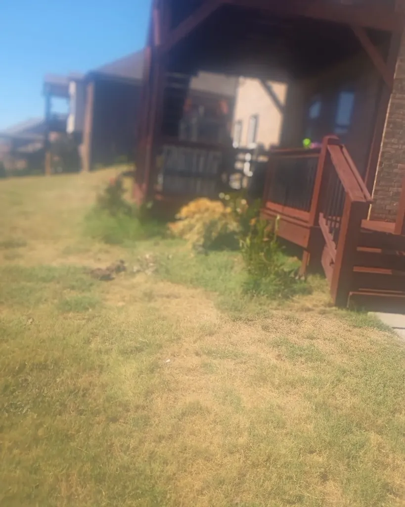 Overgrown landscape bed beside a deck before cleanup in College Grove, Tennessee
