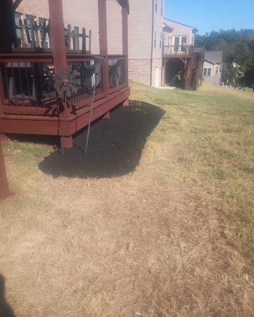 Second view of the landscape bed beside the deck after cleanup and fresh black mulch in College Grove, Tennessee