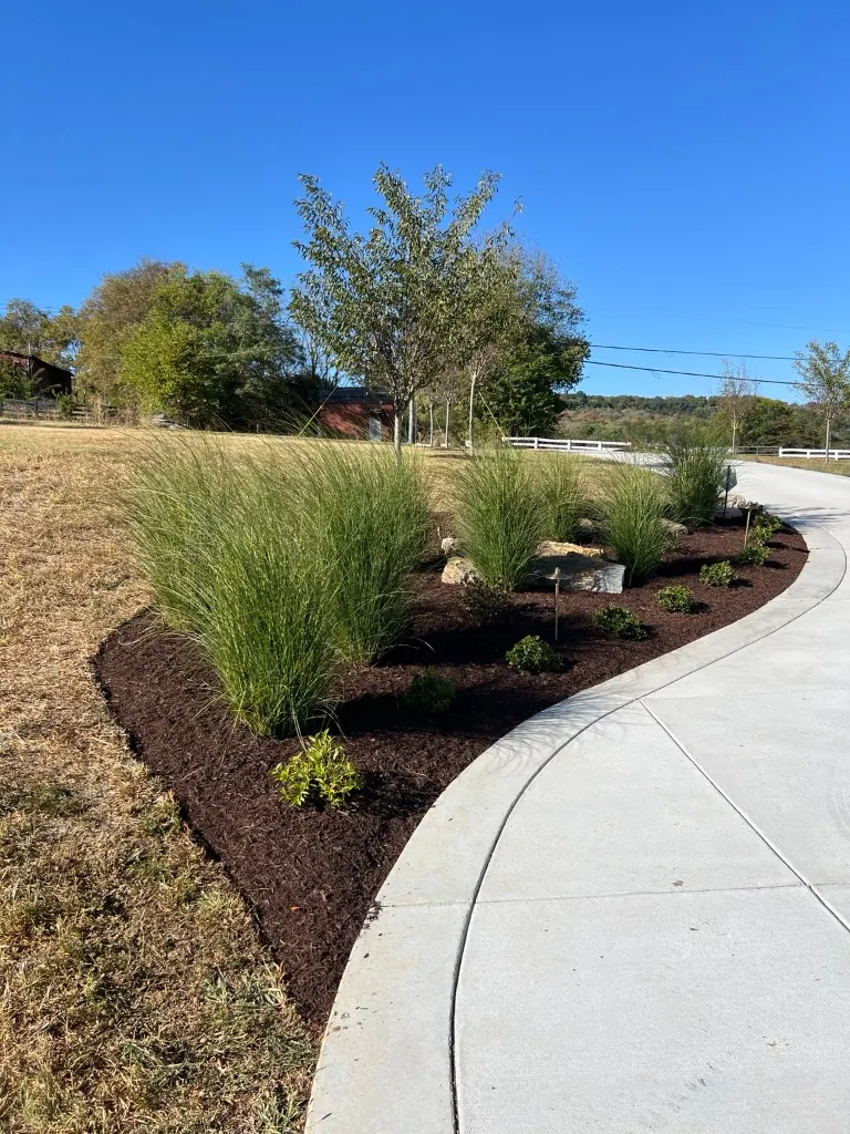 Driveway landscape bed cleaned, edged, and finished with brown mulch in College Grove, Tennessee