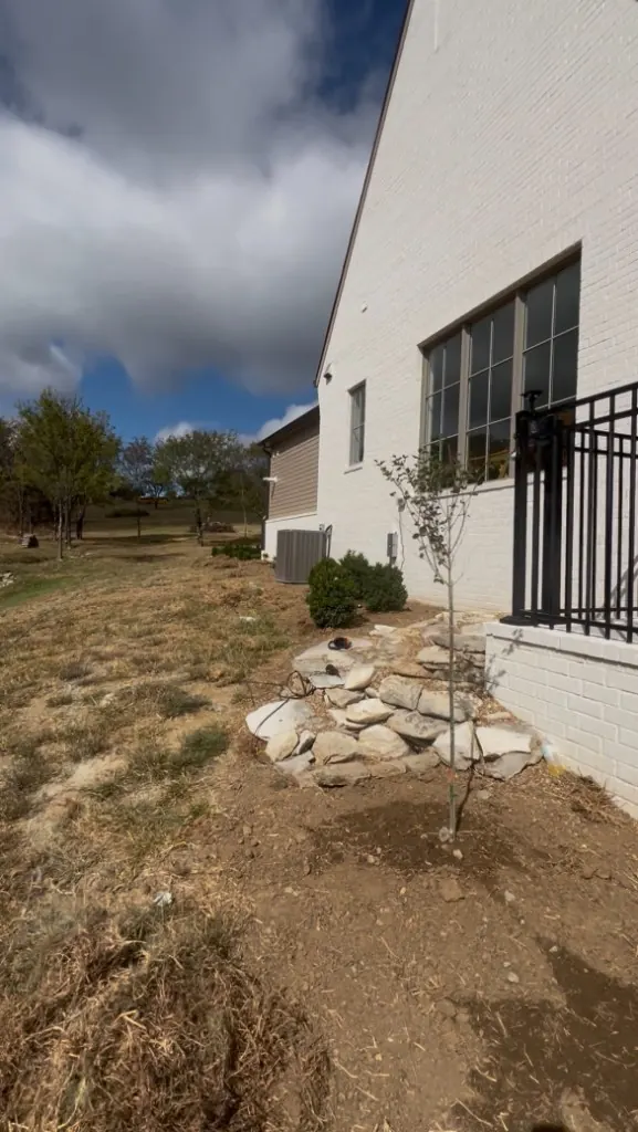 Backyard side lawn area before landscape bed creation in College Grove, Tennessee