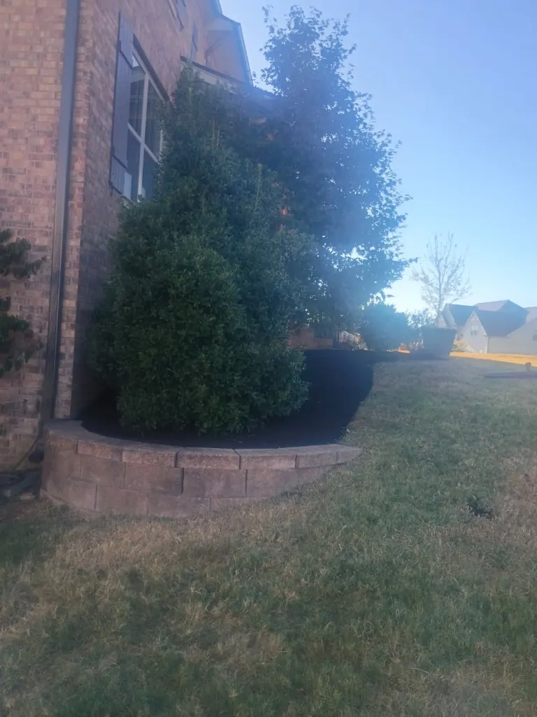 Front and side landscape bed after cleanup, shaping, and fresh mulch in College Grove, Tennessee