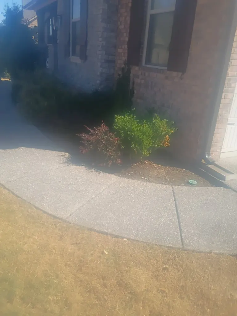 Front landscape bed with bare soil before cleanup and mulch in College Grove, Tennessee