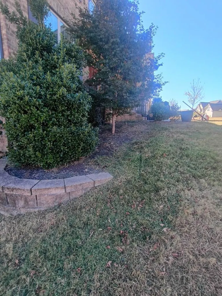 Front and side landscape bed with thin mulch and soft edges before cleanup in College Grove, Tennessee