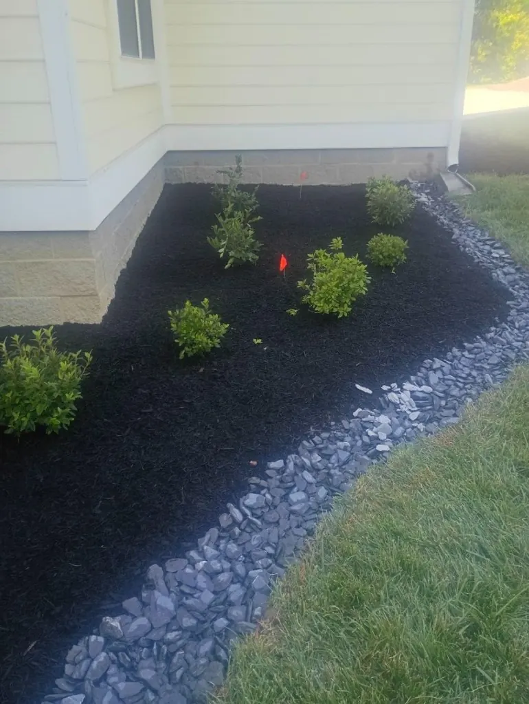 New landscape bed with black mulch, plants and decorative rock in College Grove, Tennessee
