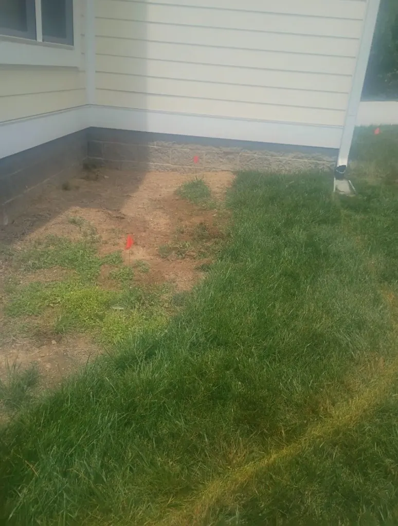 Grass and weeds before landscape bed installation in College Grove, Tennessee