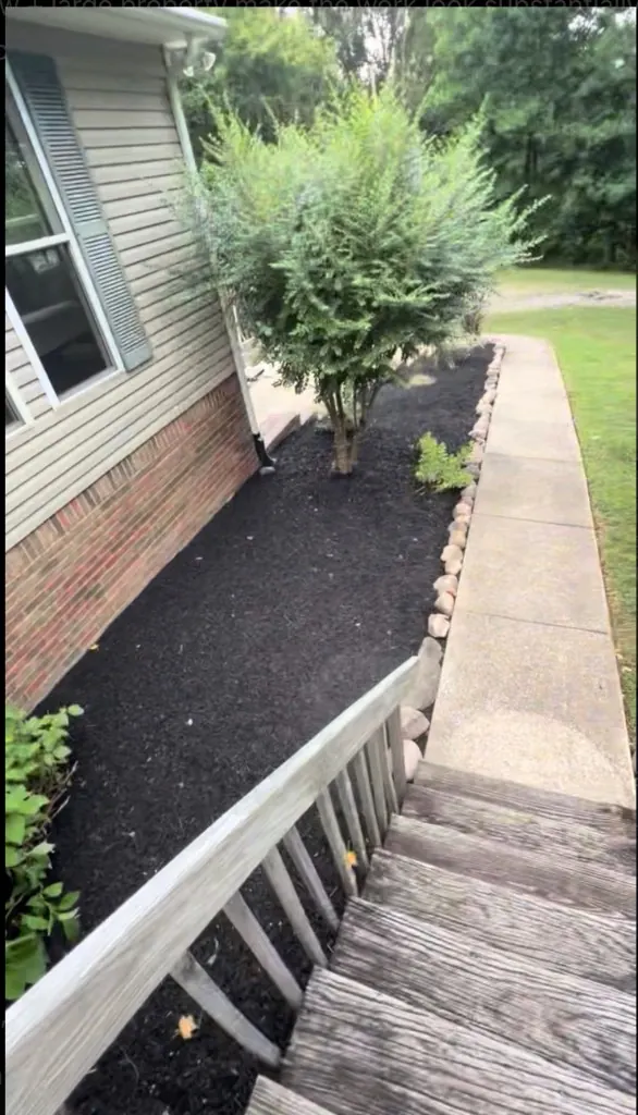 Landscape bed after black mulch installation in Columbia, TN