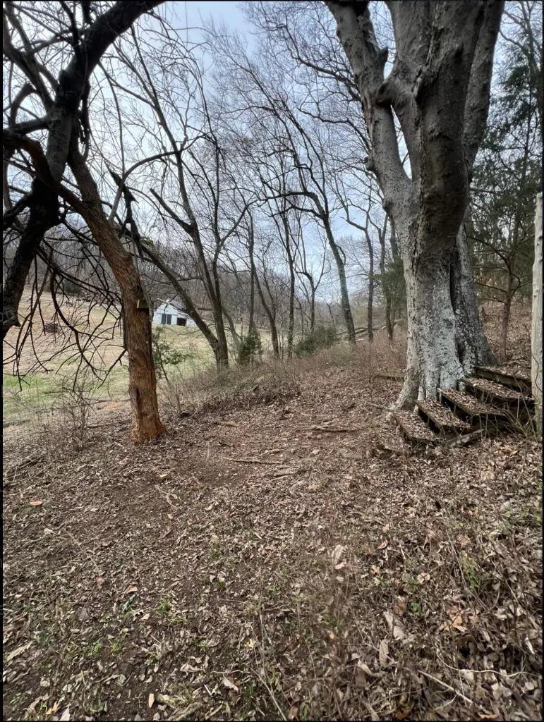 Cleared property area after outdoor structure removal and debris hauling in Columbia, Tennessee
