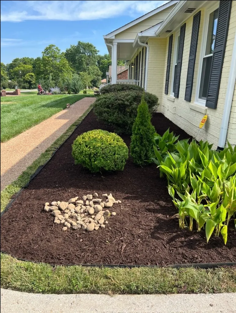 Finished mulched landscape bed with trimmed shrubs at a Franklin, Tennessee home