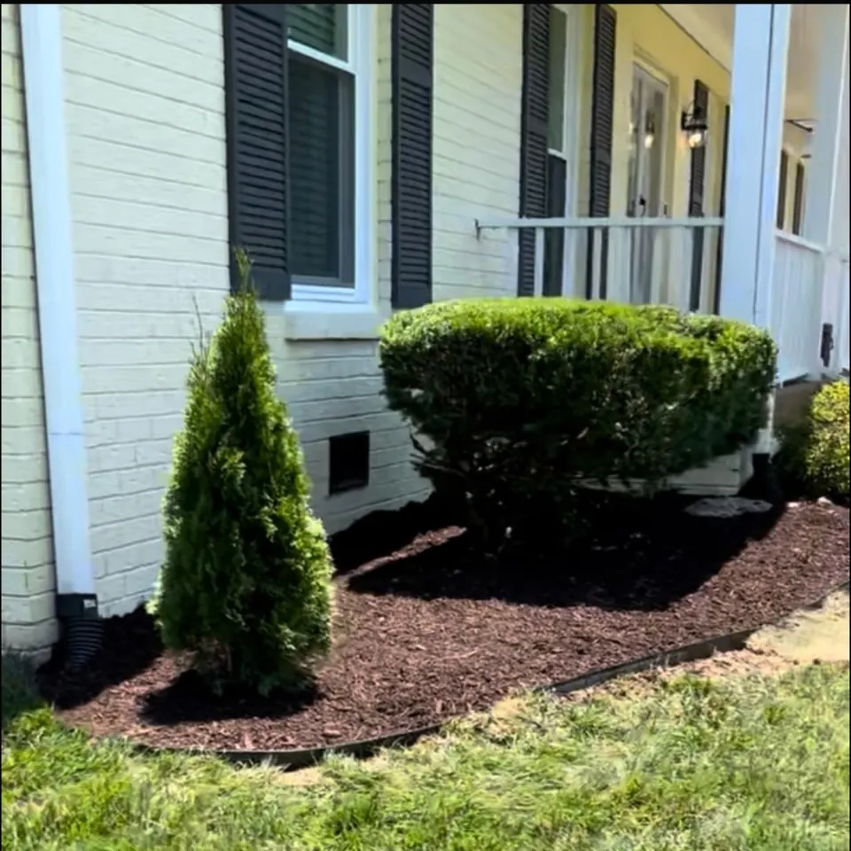 Landscape bed after shrub trimming and fresh mulch installation in Franklin