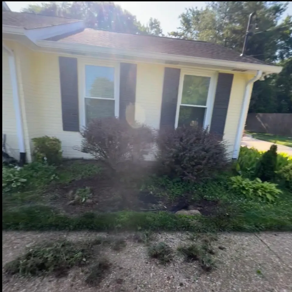 Overgrown front landscape bed before cleanup in Franklin