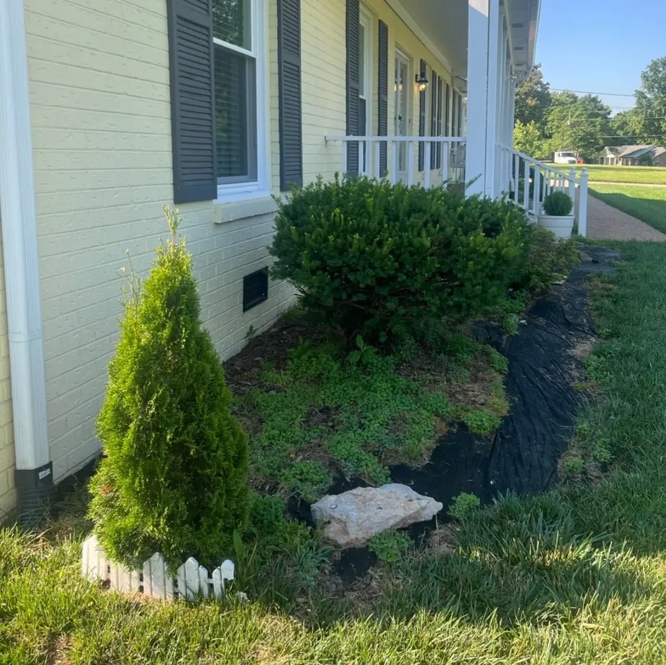 Landscape bed before cleanup and shrub trimming at a Franklin home