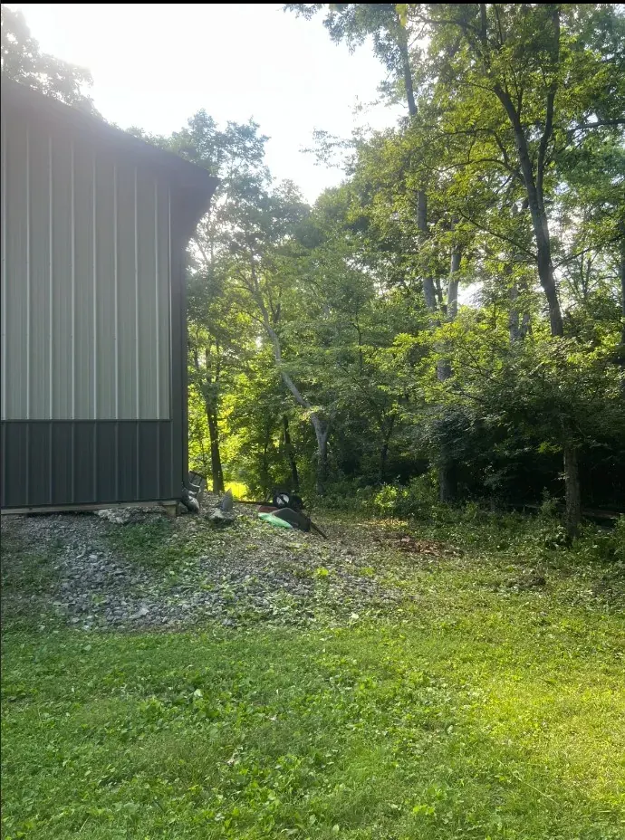 Cleared outdoor space after overgrown property cleanup in Franklin, Tennessee