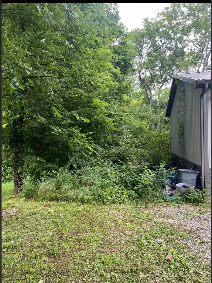 Overgrown vegetation along the building before property cleanup in Franklin, Tennessee