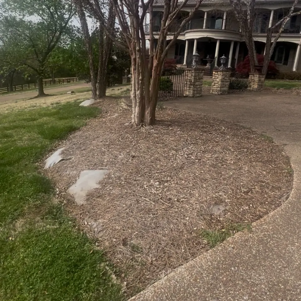 Driveway landscape bed before cleanup and pine straw installation in Franklin, Tennessee