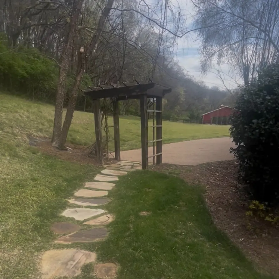 Landscape beds around a wooden pergola and stone path before cleanup in Franklin, Tennessee