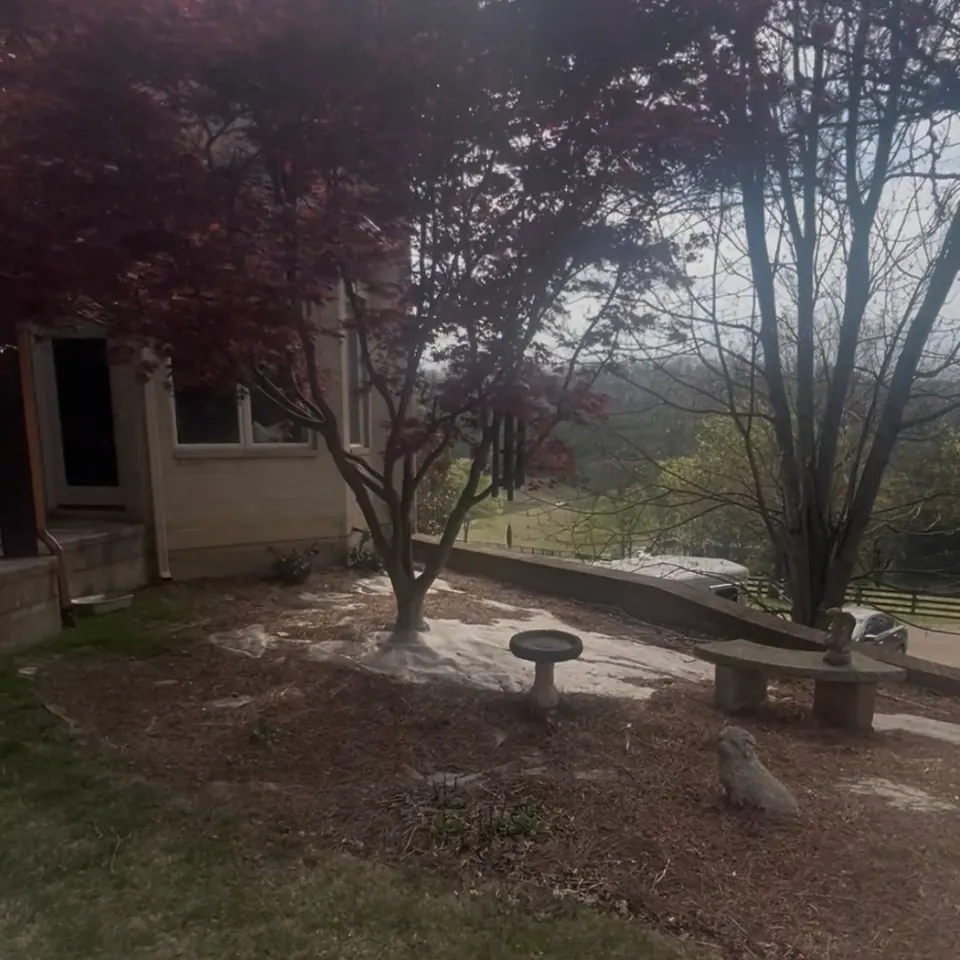 Side landscape bed with birdbath before pine straw refresh in Franklin, Tennessee