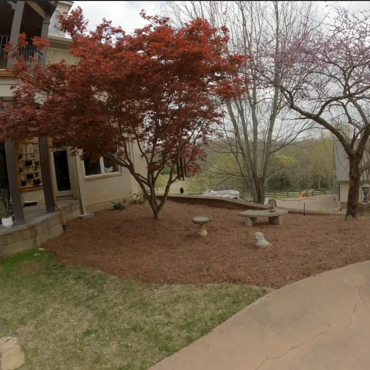 Side landscape bed with birdbath after pine straw installation in Franklin, Tennessee