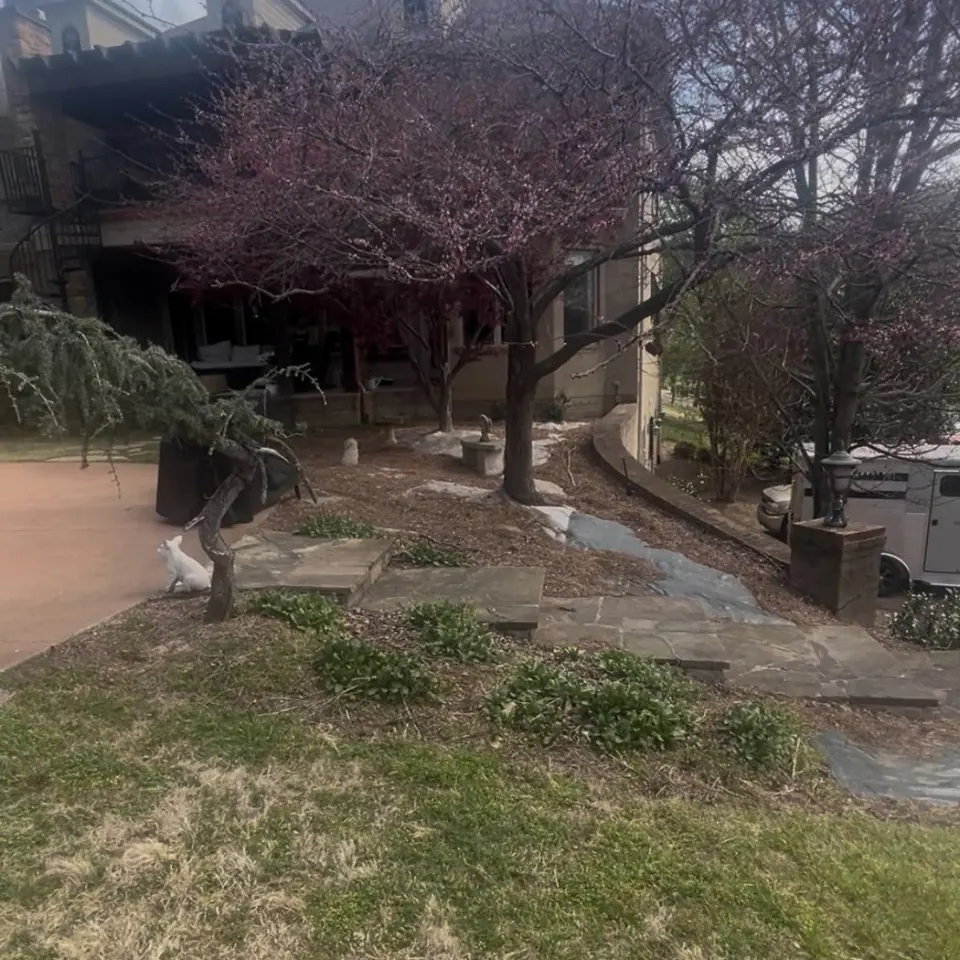 Hillside landscape bed along stone stairs before cleanup in Franklin, Tennessee
