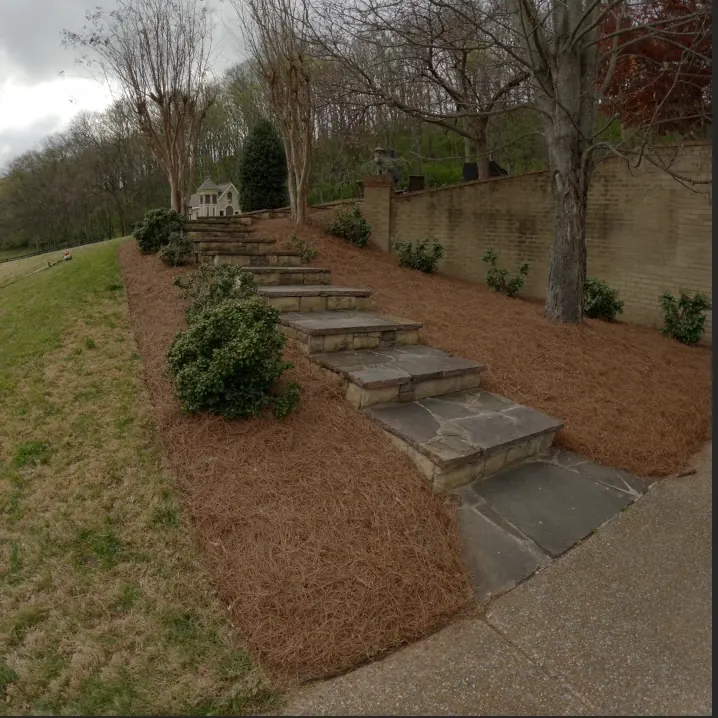 Landscape bed flanking stone stairs with fresh pine straw in Franklin, Tennessee
