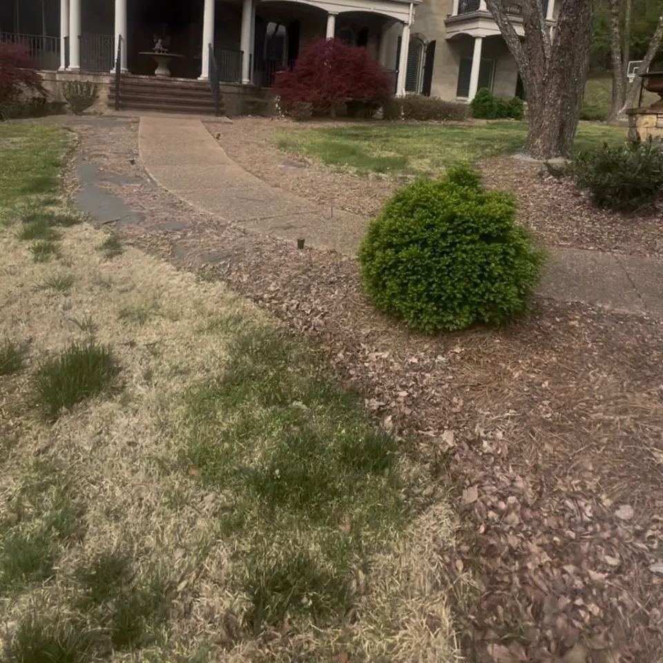 Front walkway landscape bed before cleanup and pine straw installation in Franklin, Tennessee