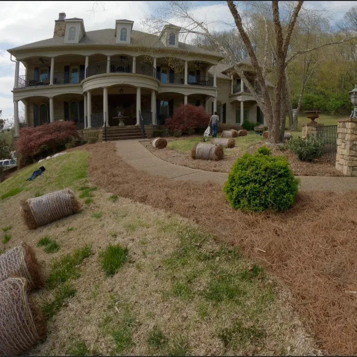 Front walkway landscape bed with fresh pine straw in Franklin, Tennessee