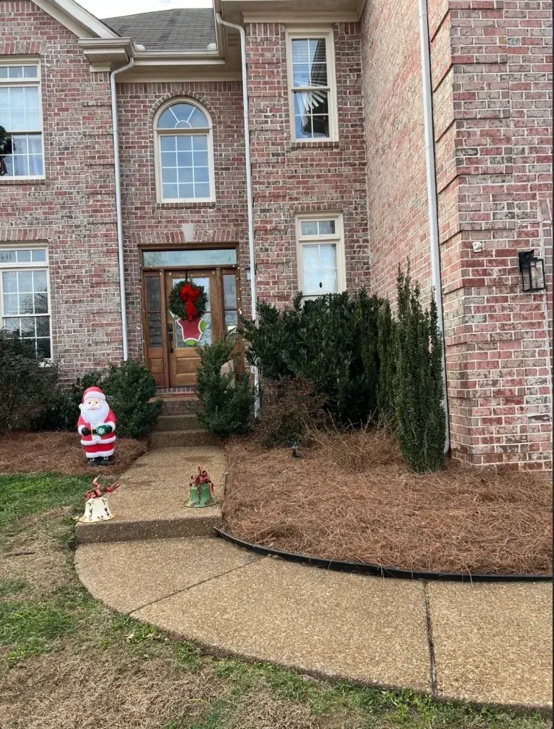 Front entrance landscape bed with fresh pine straw after installation in Franklin, Tennessee