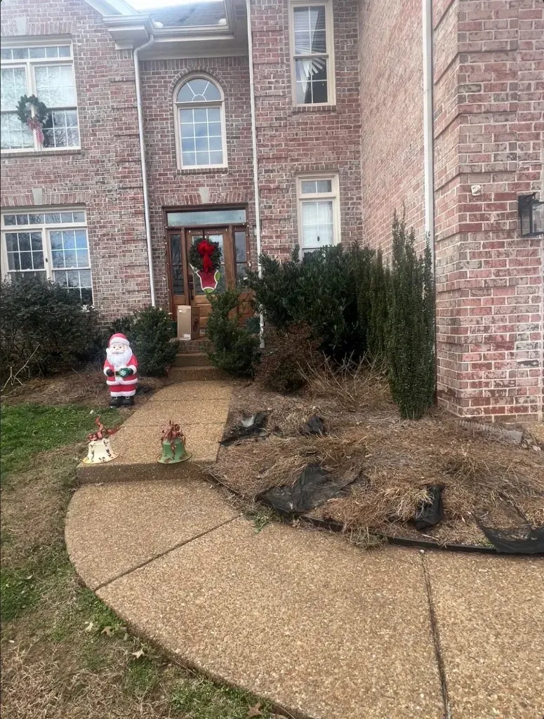 Front entrance landscape bed with sparse faded pine straw before refresh in Franklin, Tennessee