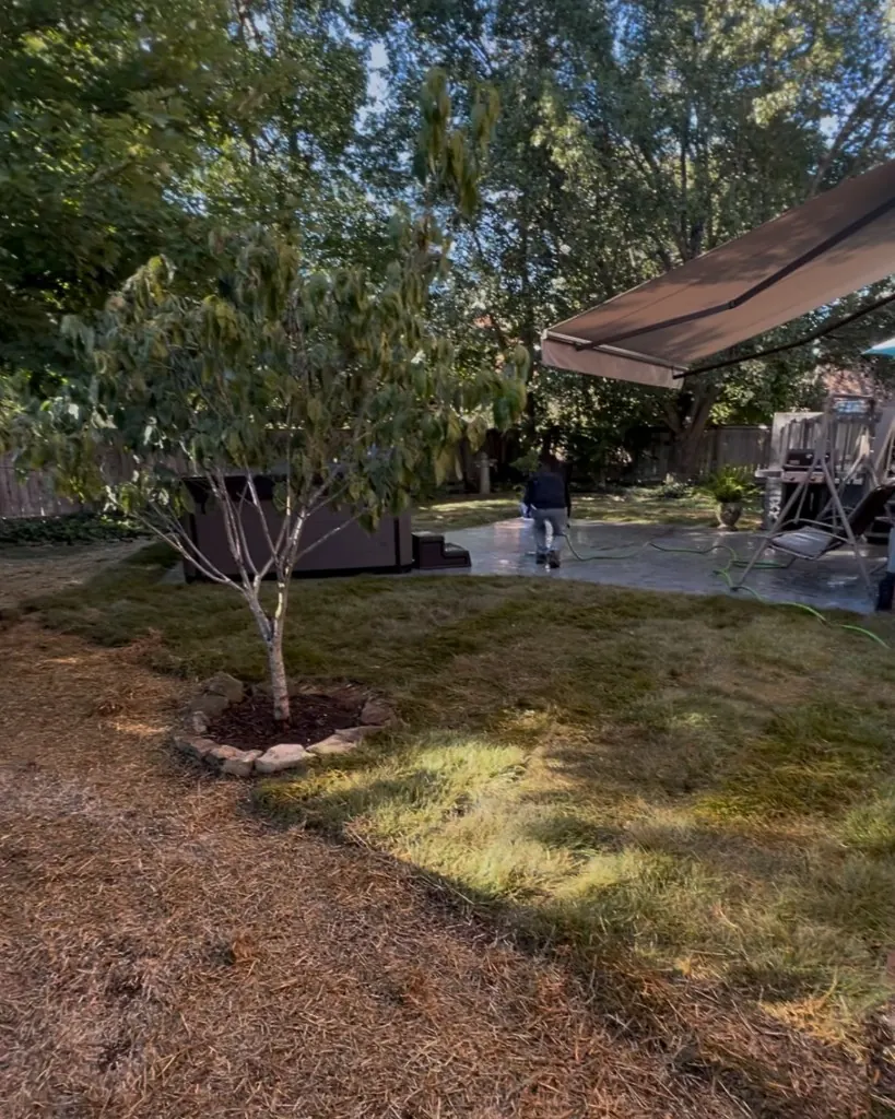 After sod installation & lawn restoration in Franklin, TN, MRX Landscaping