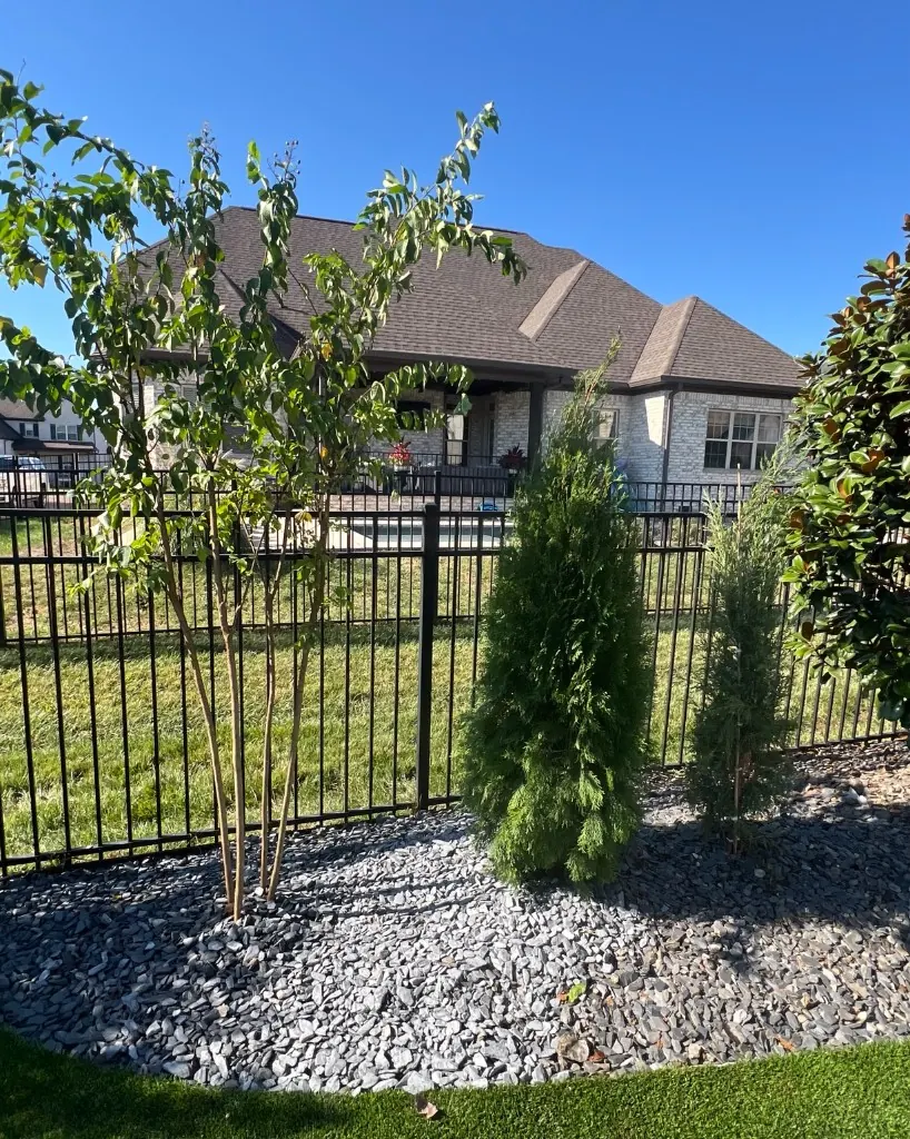 Crape myrtle, Emerald Green Arborvitae, and juniper planted in a decorative rock bed in Spring Hill, Tennessee