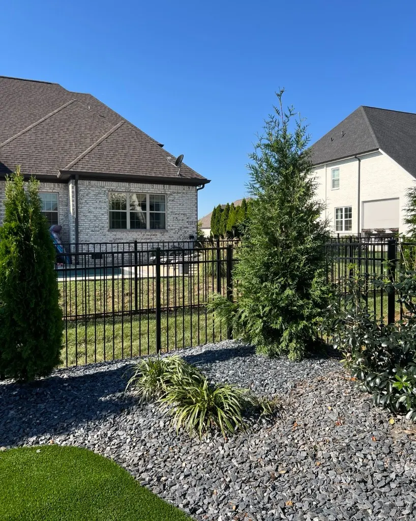 North Pole Arborvitae and Green Giant Arborvitae planted after an azalea was relocated in Spring Hill, Tennessee